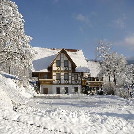 Baeuerlehof Hotel Seebach Bagian luar foto