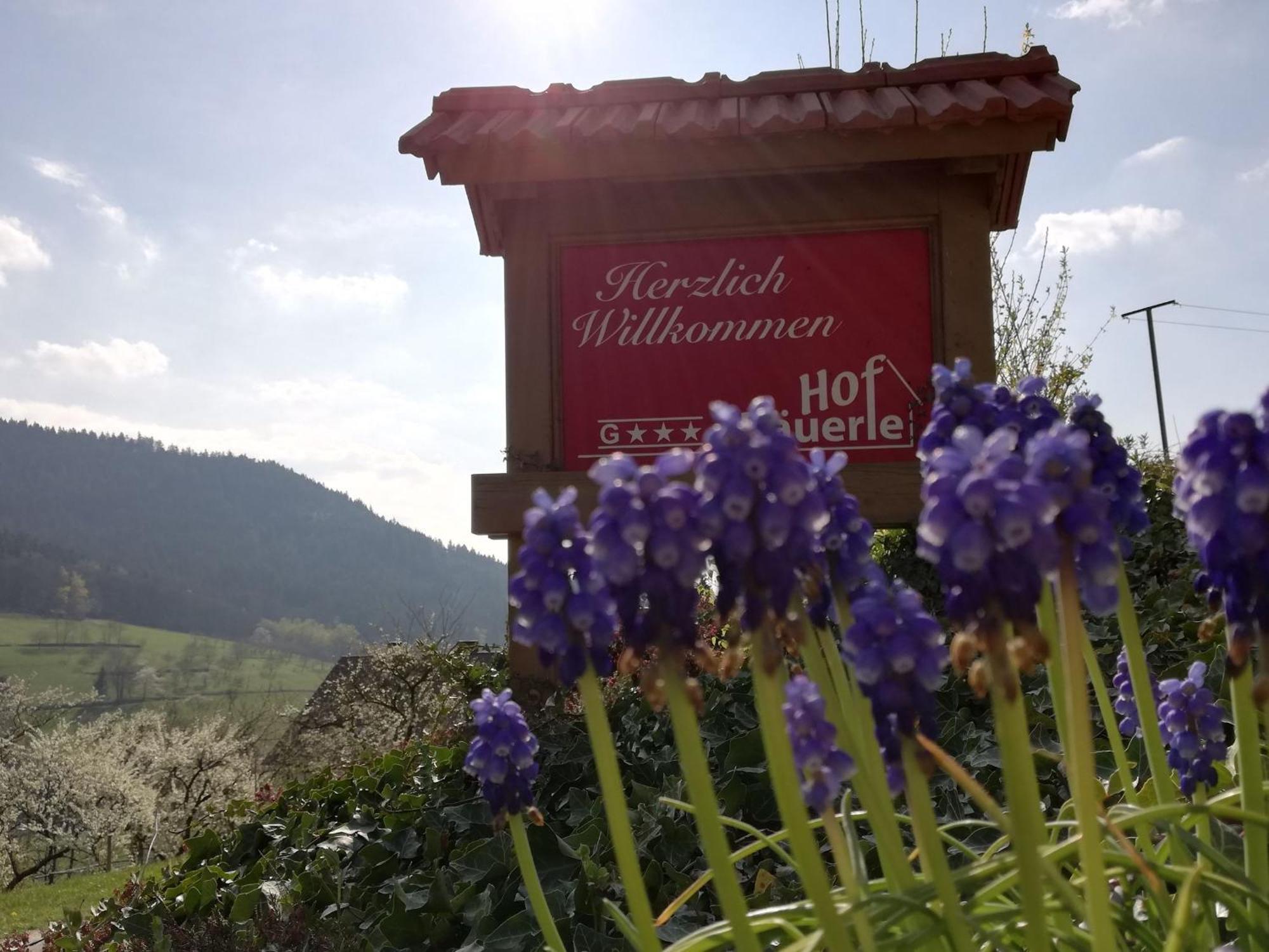 Baeuerlehof Hotel Seebach Bagian luar foto