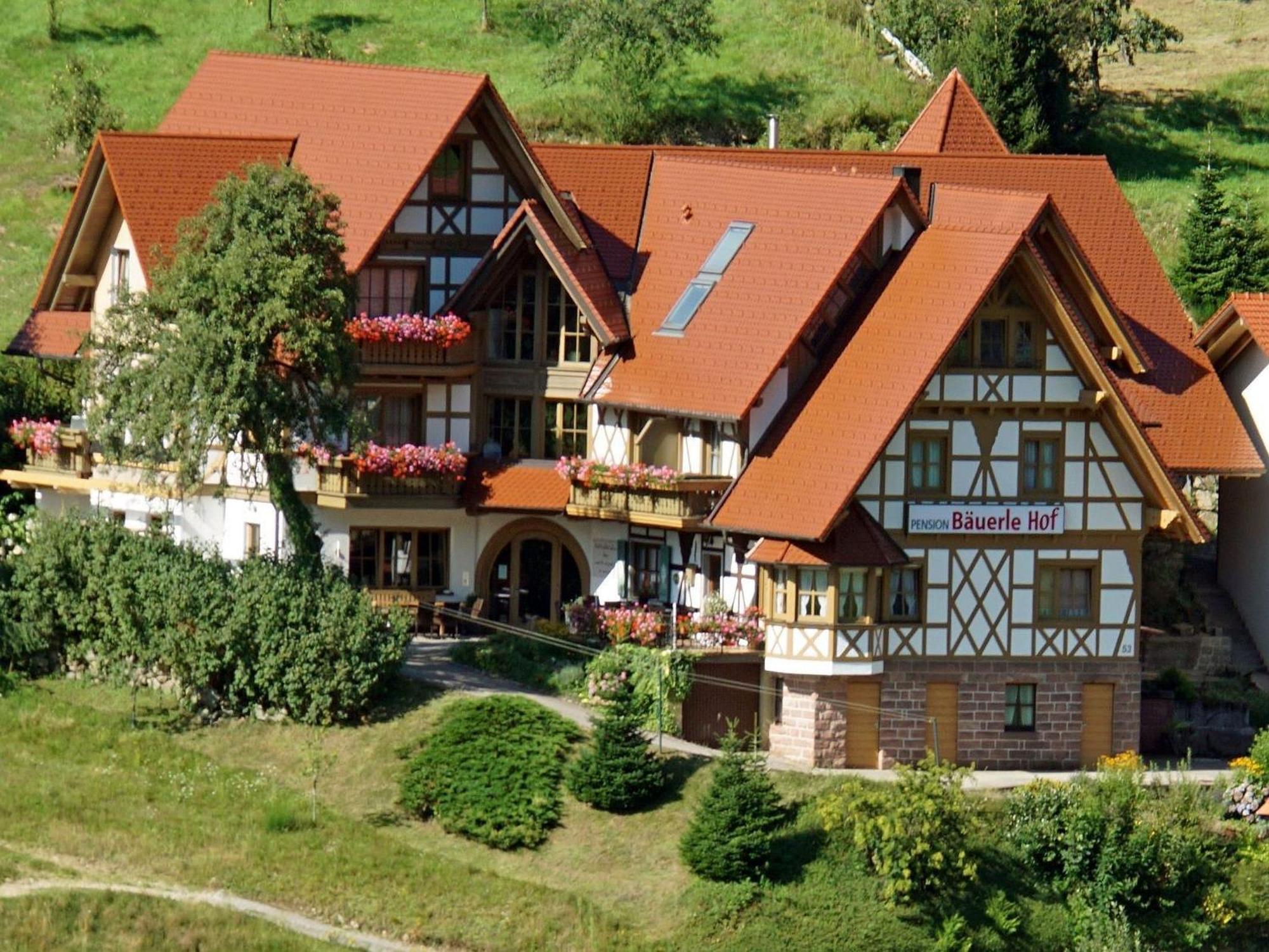 Baeuerlehof Hotel Seebach Bagian luar foto